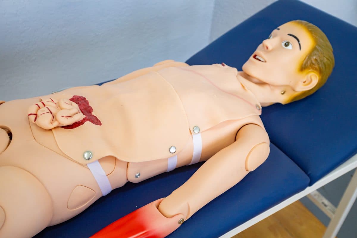 სიმულაციური ცენტრი / Simulation Center