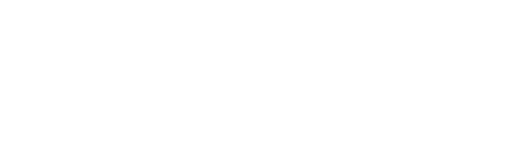 Partner logo 1